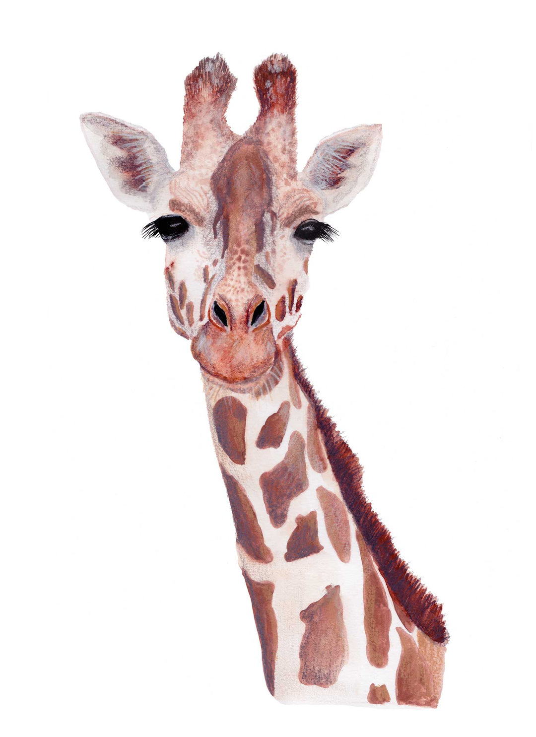 Giraffe - Wall Art Print