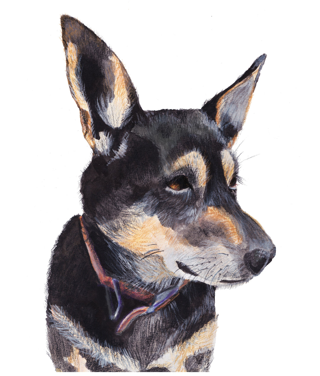 Kelpie - Wall Art Print