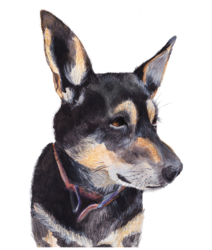 Kelpie - Wall Art Print