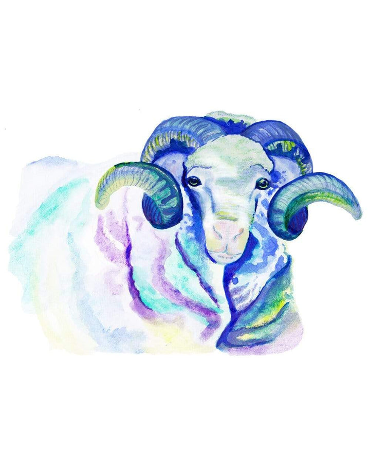 Carina Chambers Design  Rambo the Blue Ram
