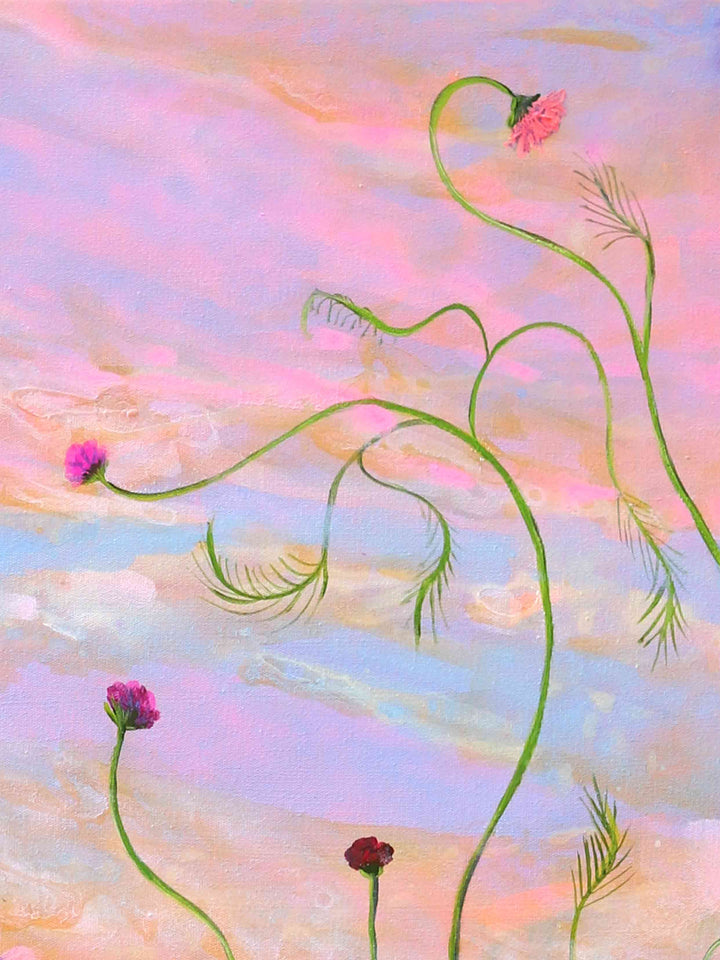 Cosmos Over Canobolas - Limited Edition Fine Art Print - coming soon