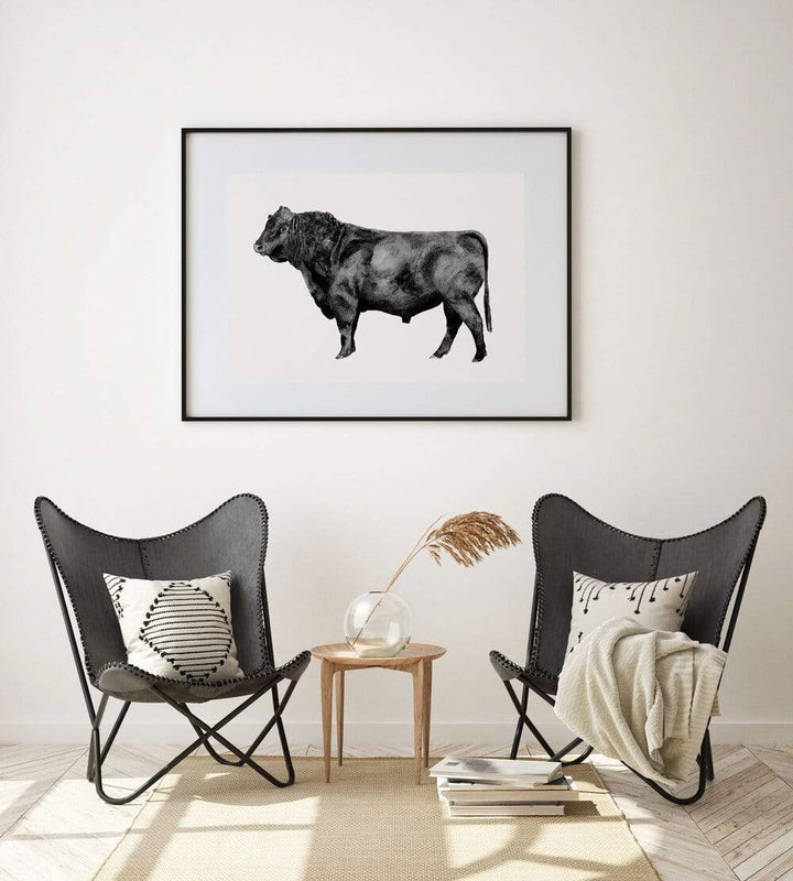 Carina Chambers Design Limited Edition Print Extra-Large Black Bull